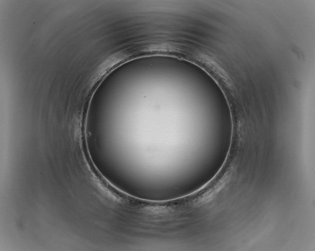 X0000111601033200907161549