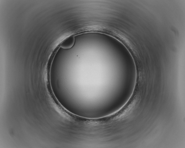 X0000111601034200907161549