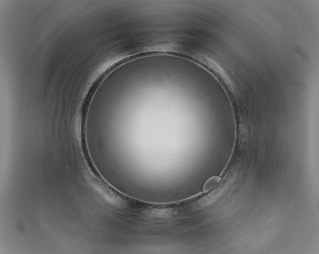X0000111601035200907161549