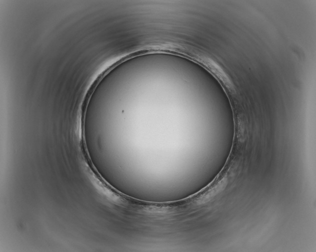 X0000111601036200907161549