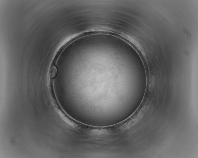 X0000111601037200907161549