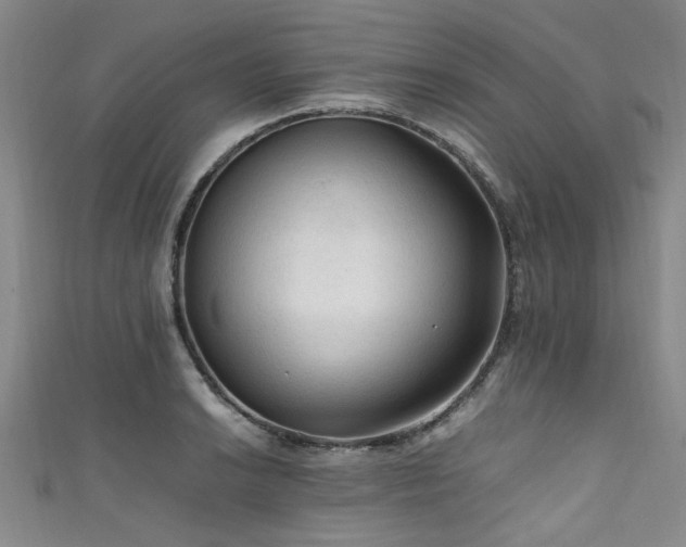 X0000111601038200907161549