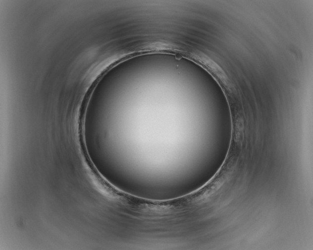 X0000111601039200907161549