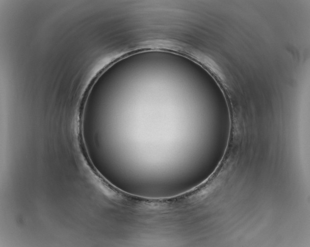 X0000111601040200907161549