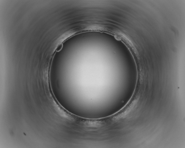X0000111601041200907161549