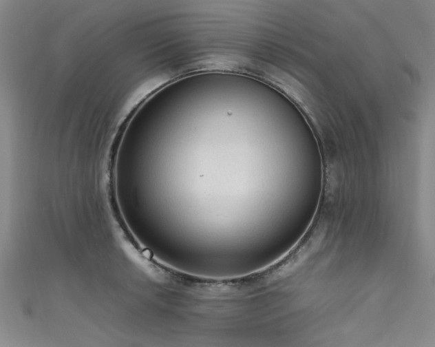 X0000111601042200907161549