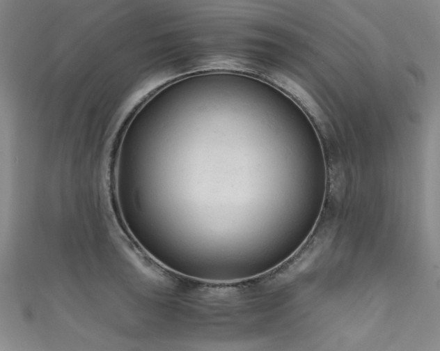 X0000111601043200907161549