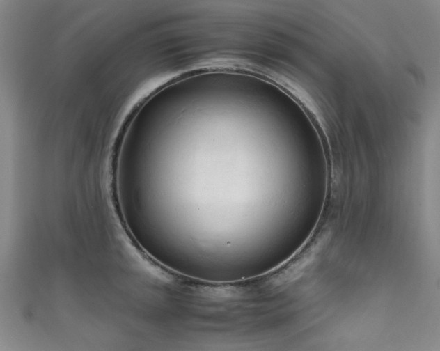 X0000111601045200907161549