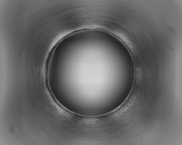 X0000111601046200907161549