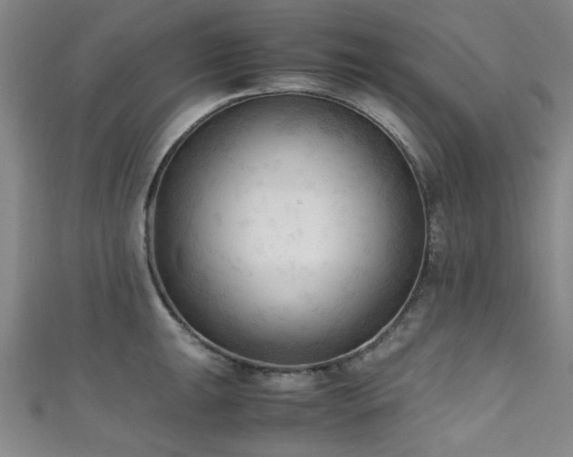 X0000111601047200907161549