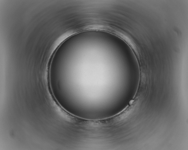 X0000111601050200907161549