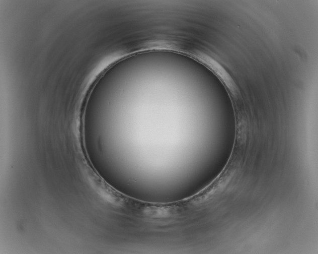 X0000111601051200907161549