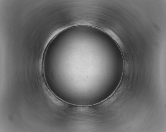 X0000111601052200907161549