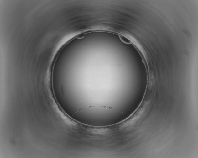 X0000111601053200907161549