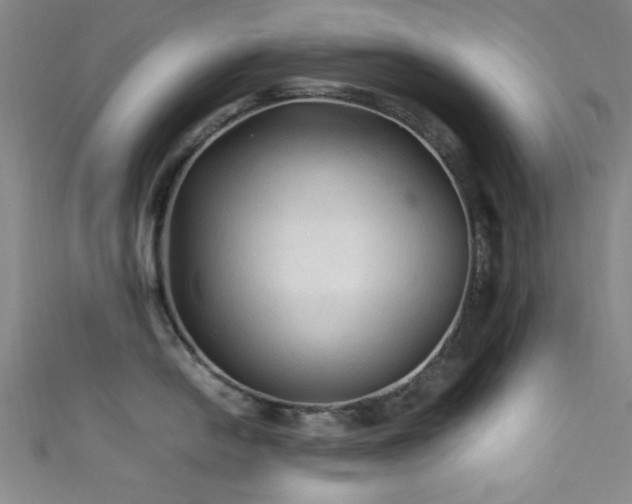 X0000111601054200907161549