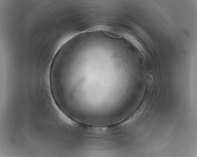 X0000111601055200907161549