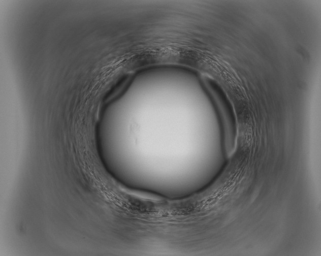X0000111601057200907161548