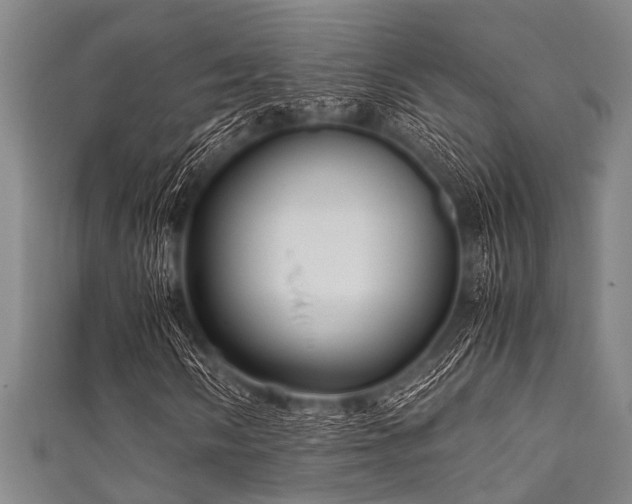 X0000111601058200907161548