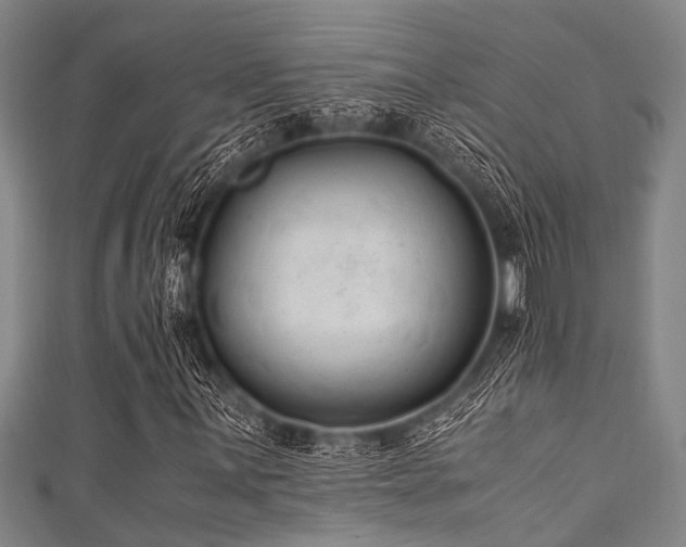 X0000111601059200907161548