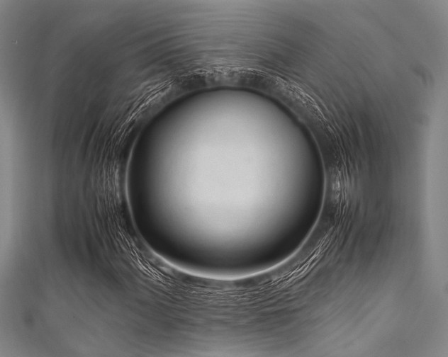 X0000111601060200907161548
