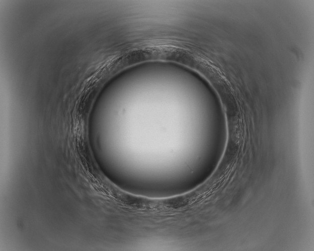 X0000111601061200907161548