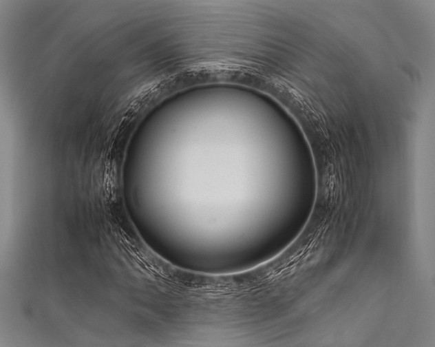 X0000111601062200907161548