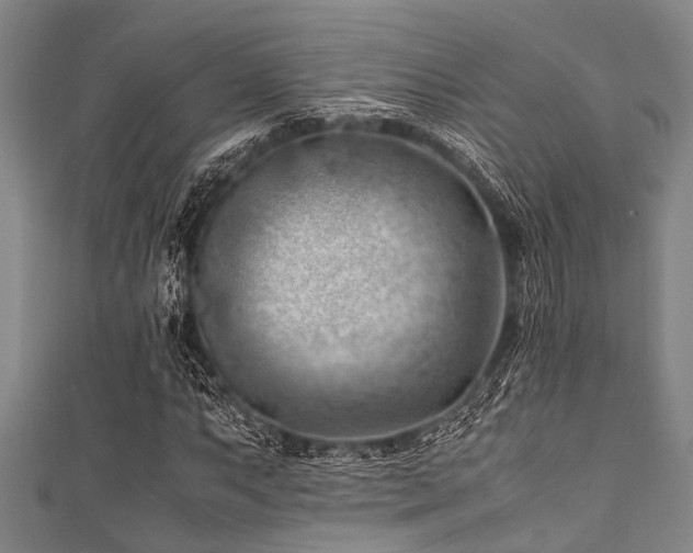 X0000111601063200907161548