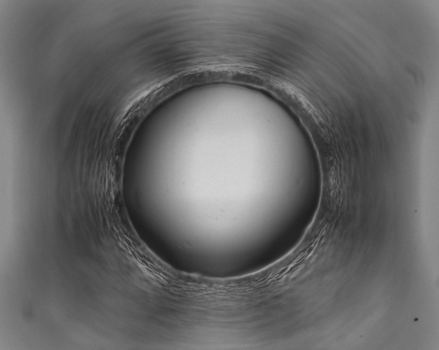 X0000111601064200907161548