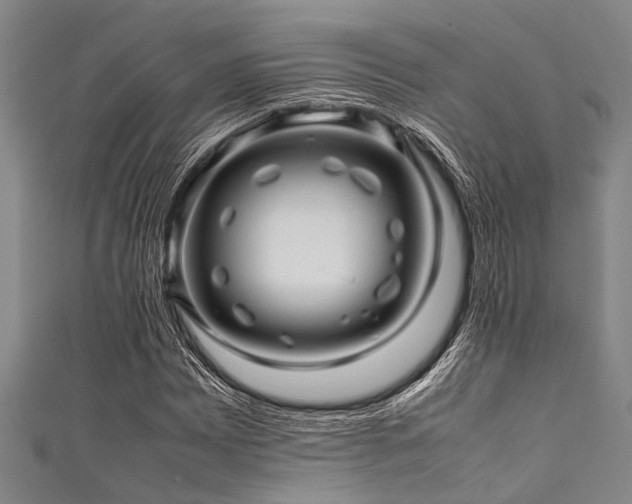 X0000111601065200907161548