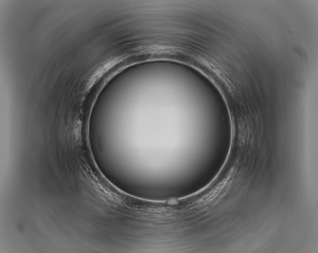 X0000111601066200907161548