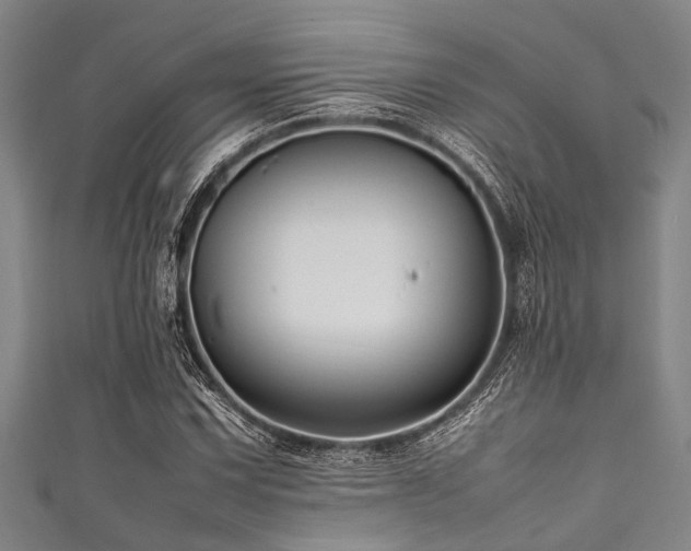 X0000111601067200907161548