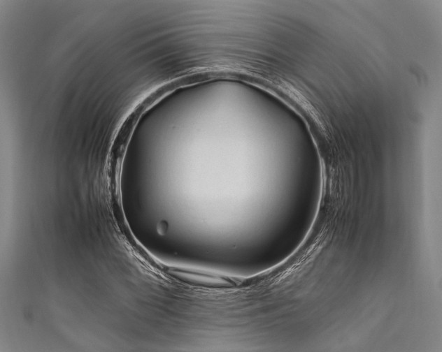 X0000111601068200907161548