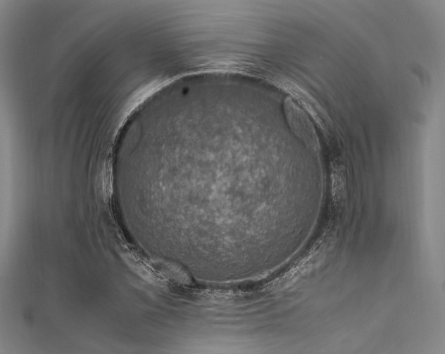 X0000111601069200907161548