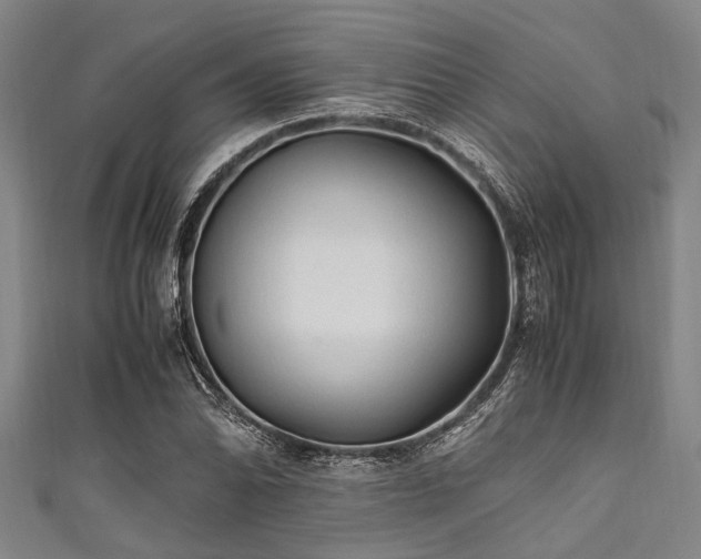 X0000111601070200907161548