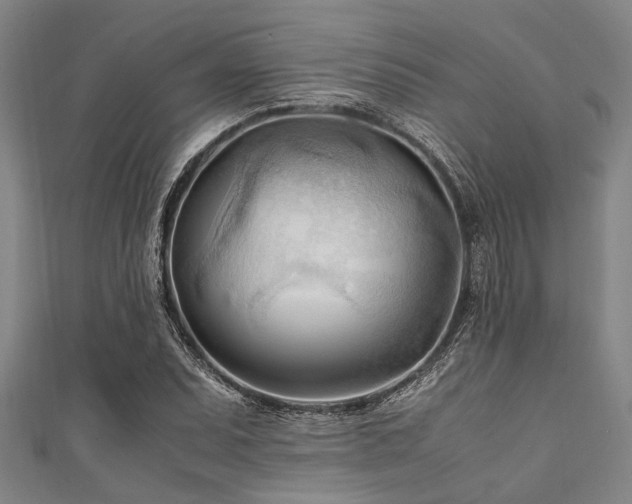 X0000111601071200907161548
