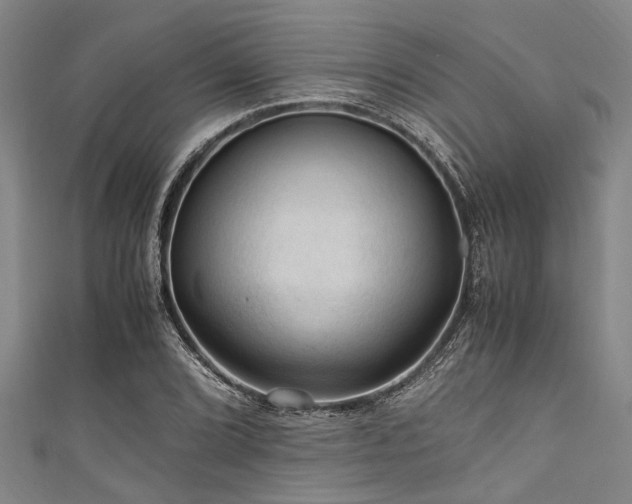 X0000111601072200907161548