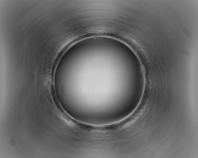 X0000111601073200907161548