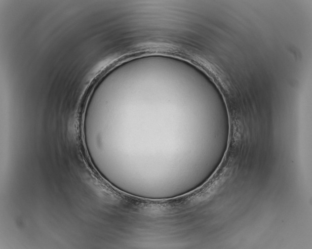 X0000111601074200907161548