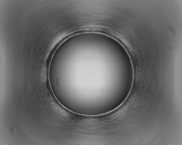 X0000111601075200907161548