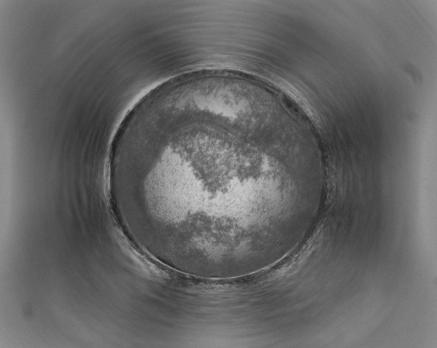 X0000111601076200907161548