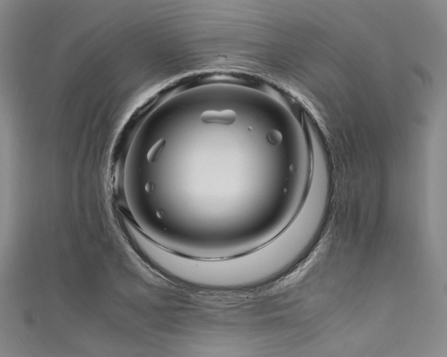 X0000111601077200907161548