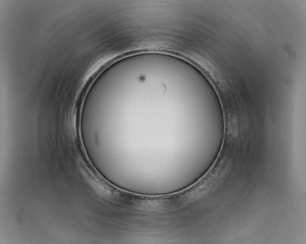 X0000111601078200907161548