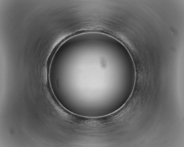 X0000111601079200907161548