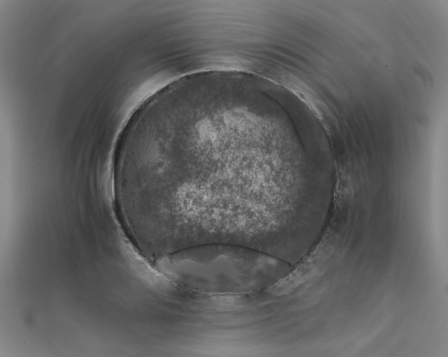 X0000111601080200907161548