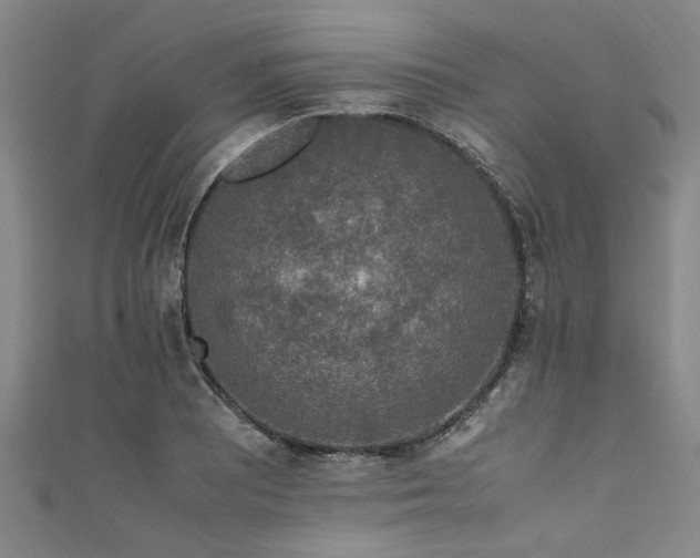 X0000111601081200907161548