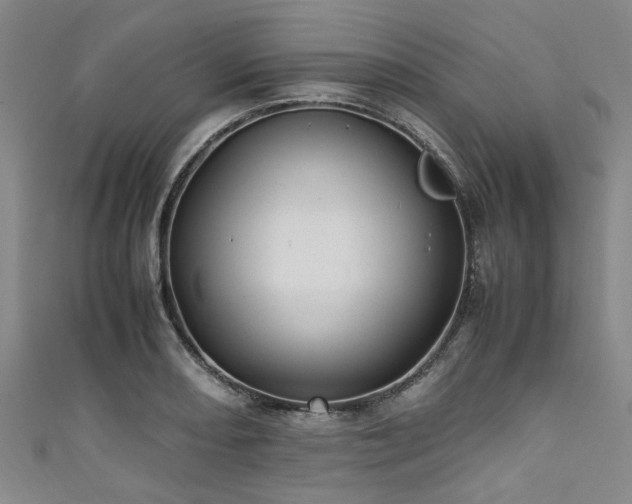 X0000111601082200907161548