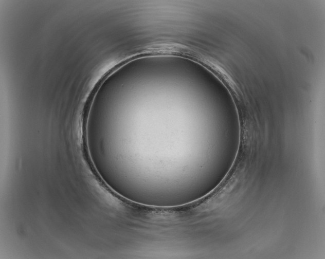 X0000111601083200907161548