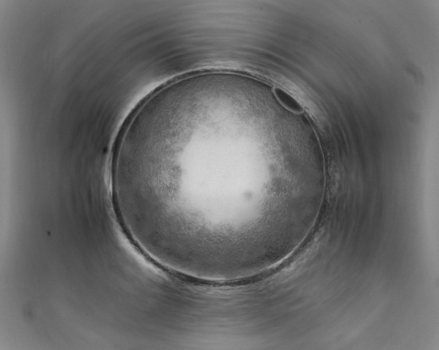 X0000111601084200907161548