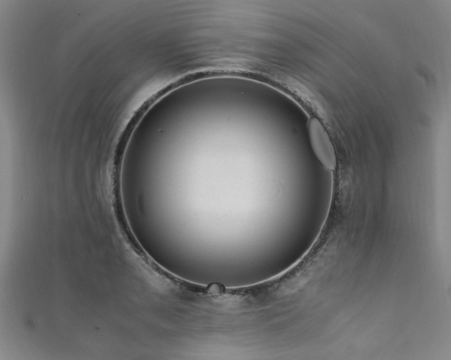 X0000111601085200907161548