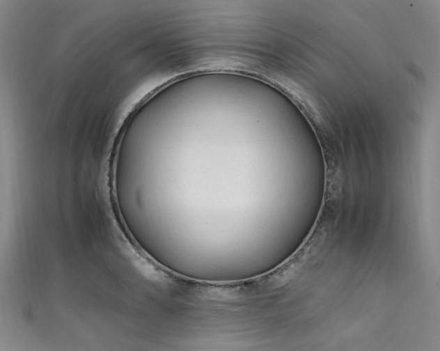 X0000111601086200907161548